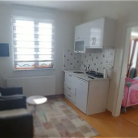 בית אירוח Villa Amasra Pansiyon *